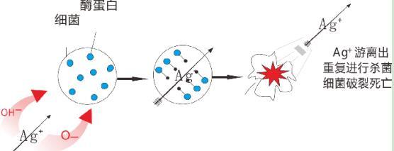 龍勝三層納米抗菌水管有效嗎？配圖解原理，99.99%抗菌率不是蓋的！