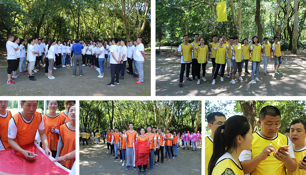 龍勝管拓展訓(xùn)練燃爆夏日，我們“激情不減，活力無限”