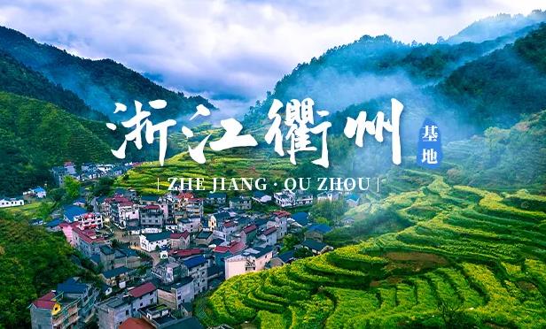 衢州ppr水管加盟代理哪個品牌好？選擇國產(chǎn)還是進(jìn)口品牌？